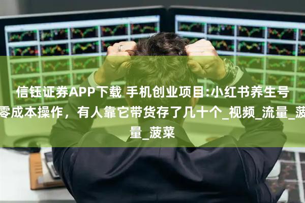 信钰证券APP下载 手机创业项目:小红书养生号:零成本操作,有人靠它带货存了几十个_视频_流量_菠菜
