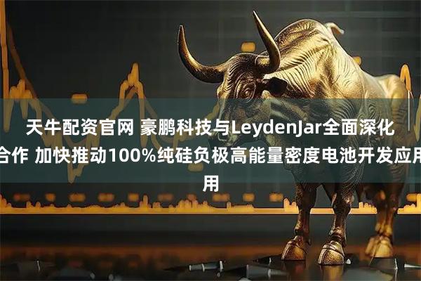 天牛配资官网 豪鹏科技与LeydenJar全面深化合作 加快推动100%纯硅负极高能量密度电池开发应用
