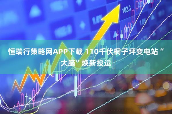恒瑞行策略网APP下载 110千伏桐子坪变电站“大脑”焕新投运