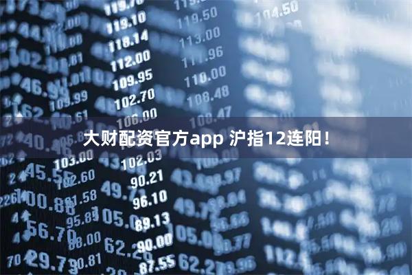 大财配资官方app 沪指12连阳!