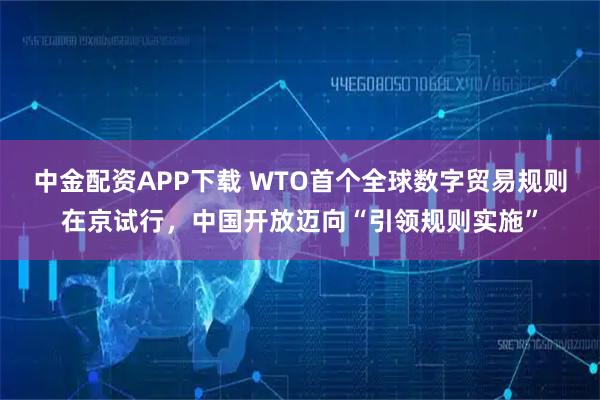 中金配资APP下载 WTO首个全球数字贸易规则在京试行，中国开放迈向“引领规则实施”