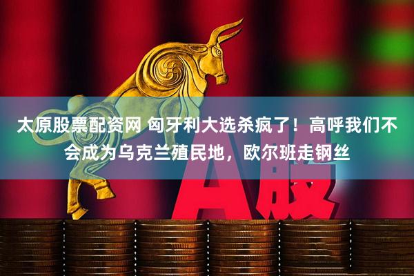 太原股票配资网 匈牙利大选杀疯了！高呼我们不会成为乌克兰殖民地，欧尔班走钢丝